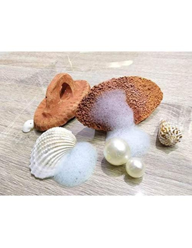 Piedra Pómez Natural Cosynee 12.7x6.35cm Exfoliador de Pies