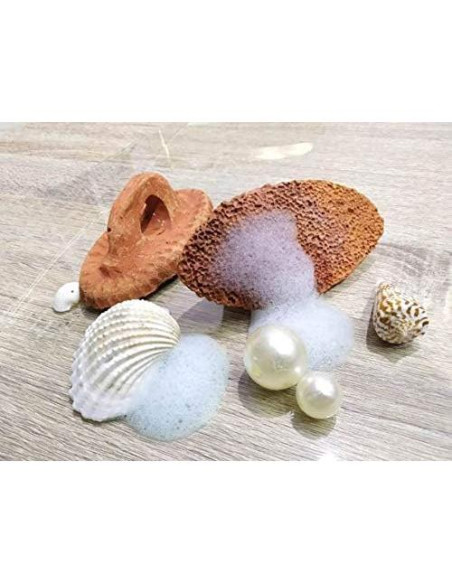 Piedra Pómez Natural Cosynee 12.7x6.35cm Exfoliador de Pies