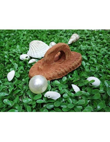 Piedra Pómez Natural Cosynee 12.7x6.35cm Exfoliador de Pies