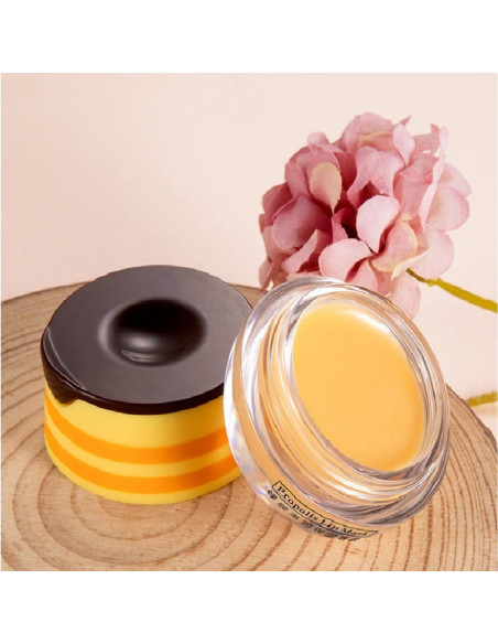 Bálsamo Labial de Miel 4 PCS WenFeng Hidratante 181g