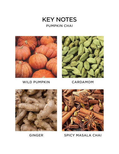 Jabón Líquido NEST Nueva York Chai de Calabaza 295 ml - Nutre Piel