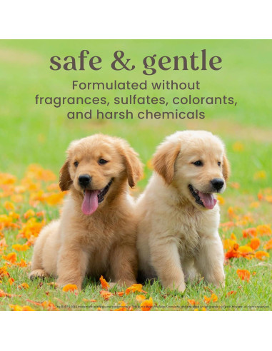 Spray para Puntos Calientes Burt's Bees 295ml Alivio Picazón