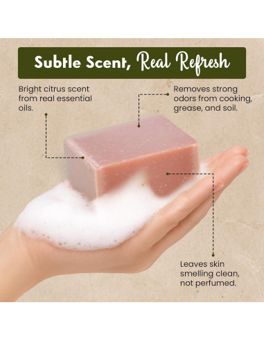 Jabón de Manos de Arcilla Roja Sea Lark - 99.22 g, 2 Piezas - Natural