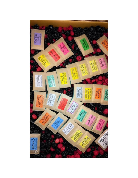 Ungüento de Vervena Azul Blackberry Hollow 28.35 g Natural