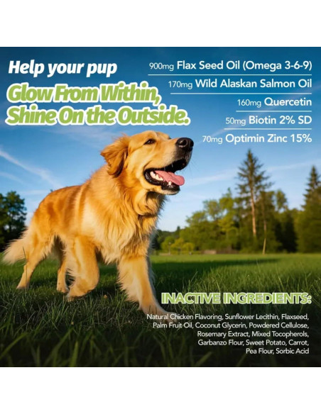 Suplemento para perros Vitalabs Skin & Coat 60 masticables