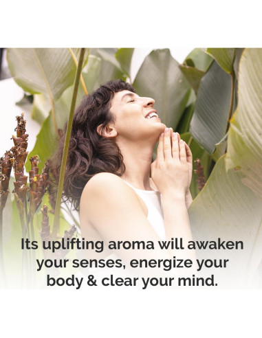 Jabón Líquido Orgánico Modern M con Shungite y Aceite de Cáñamo