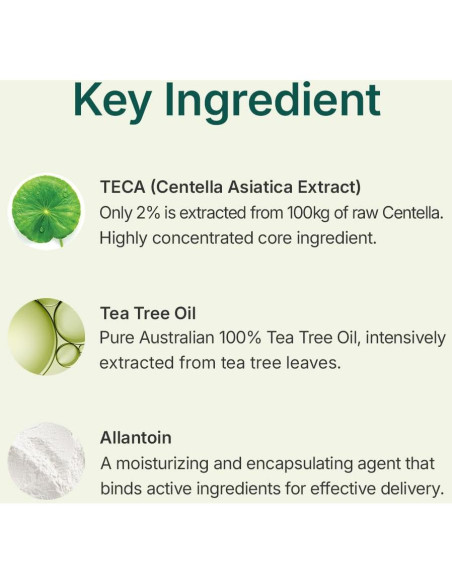 Centellian 24 Madeca Powder Tea Tree AC 6.5 g - Control de Aceite