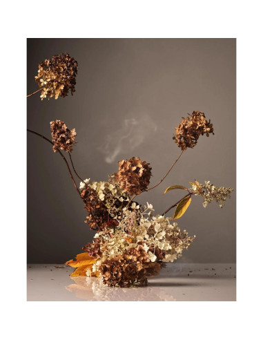 Lavado de Manos Homecourt Cece 2.0 354.88 ml Hidratante