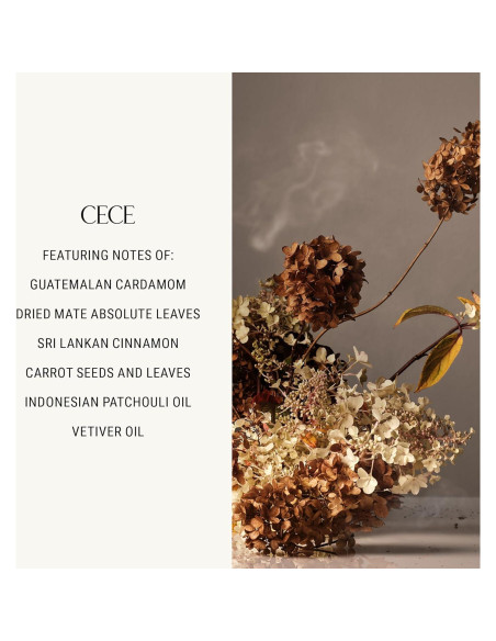 Lavado de Manos Homecourt Cece 2.0 354.88 ml Hidratante