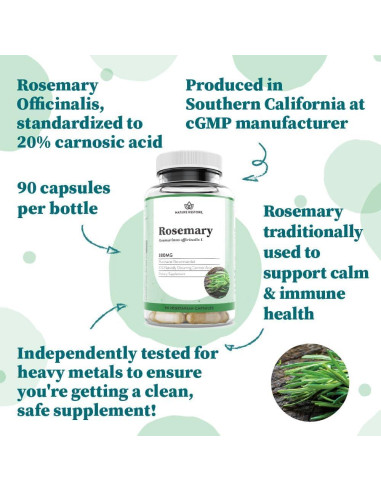 Suplemento Extracto de Romero Nature Restore 90 Cápsulas 380mg