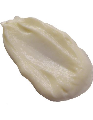 Loción Corporal Schwartz Tamar 500ml con Extracto de Dátil y Vitamina E