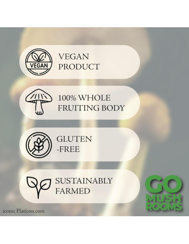 Tintura de Hongo Chaga GO Mushrooms 60 Porciones 60ml Antioxidante