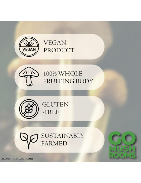 Tintura de Hongo Chaga GO Mushrooms 60 Porciones 60ml Antioxidante