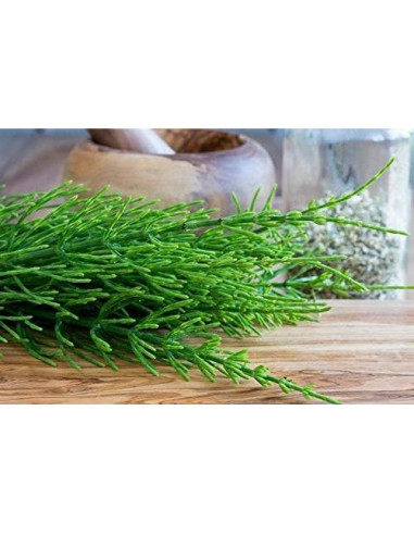 Cola de Caballo Equisetum Arvense Nature Tea 28 g