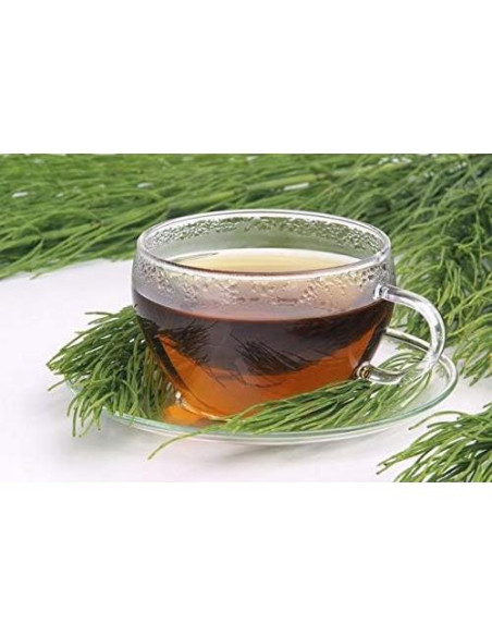 Cola de Caballo Equisetum Arvense Nature Tea 28 g