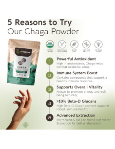 Extracto en polvo de hongo Chaga orgánico Longevity 100g - 10:1 2