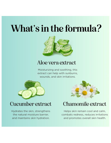 Spray Calmante Aloe Vera Maple Holistics 236 ml Hidratante