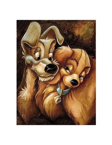 Kit de Arte de Diamante 5D Mejor Selección 30x40 cm Dama y Vagabundo