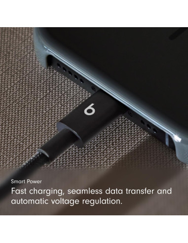 Cable USB-A a USB-C Beats 1.5 m Carga Rápida Duradero