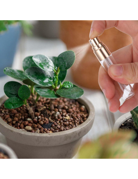 Paquete de 20 botellas de spray de vidrio 5ml Xthrotsenk