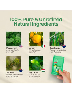 Parches de Aromaterapia Gya Labs Breathe - 60 Piezas 2