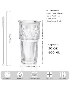Set de 2 Vasos de Vidrio INSETLAN 20oz con Tapas y Pajitas 2