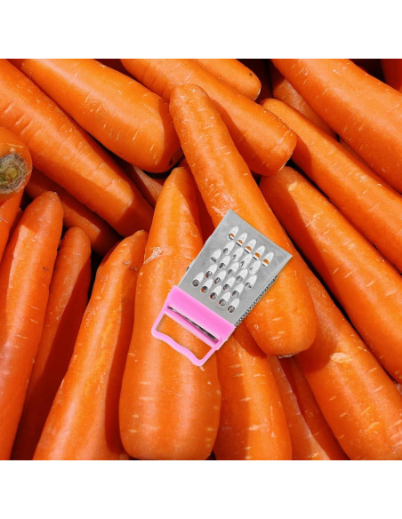 Mini Rallador de Queso Ipetboom 6 Piezas Acero Inoxidable Mini Rallador de Queso Ipetboom 6 Piezas Acero Inoxidable