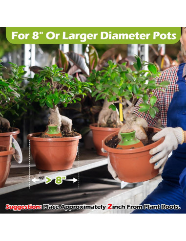 Juego de 6 Esferas de Riego de Terracota VICAMB 0.28L