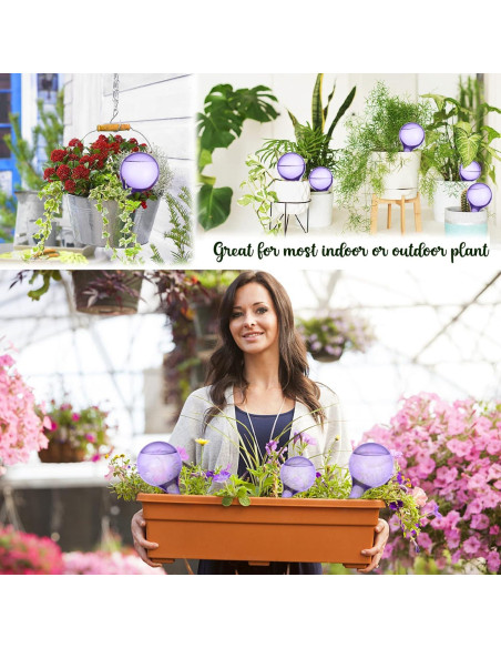Esferas de Riego Automático LOCOLO 10 Piezas PVC Púrpura Esferas de Riego Automático LOCOLO 10 Piezas PVC Púrpura
