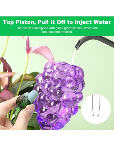 Esferas de Riego Automático Yurucenus 3PCS Vidrio Uva 130ml