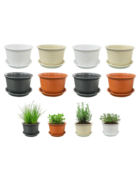 Macetas de Plástico AQSXO 10 cm con Platillos - 8 Piezas Multicolor
