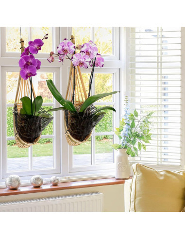 Maceta Colgante de Bambú Kitypartsy, Paquete de 6, 12.7 cm