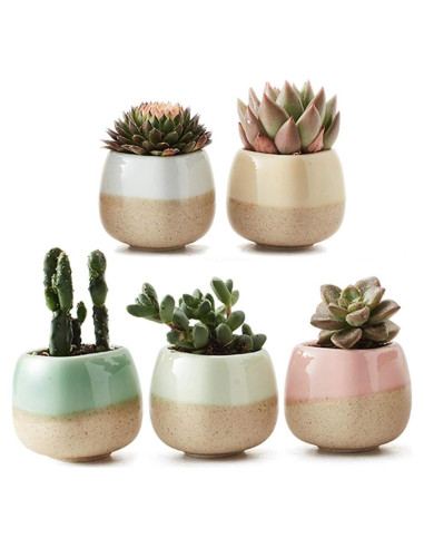 Set de 5 macetas de cerámica SUN-E 5.6 cm esmaltadas