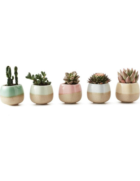 Set de 5 macetas de cerámica SUN-E 5.6 cm esmaltadas
