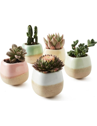 Set de 5 macetas de cerámica SUN-E 5.6 cm esmaltadas