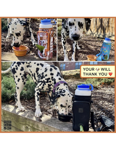 Tazón Plegable para Perros Kit Hecho Fácil 355ml Teal