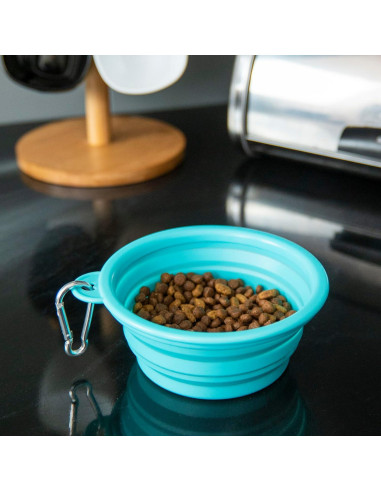 Tazón Plegable para Perros Kit Hecho Fácil 355ml Teal
