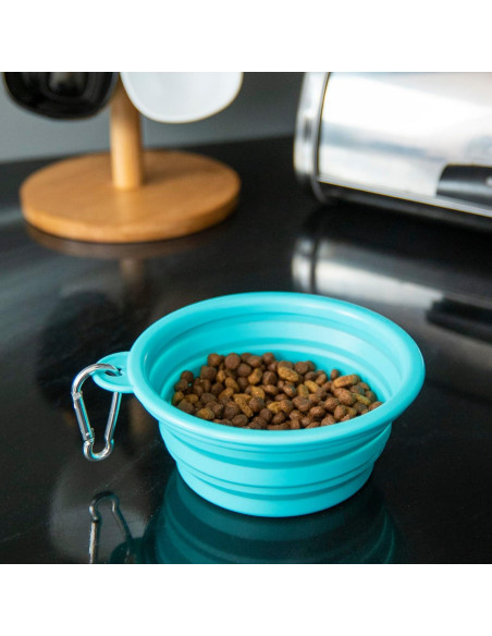 Tazón Plegable para Perros Kit Hecho Fácil 355ml Teal