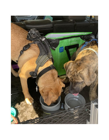 Tazón Plegable para Mascotas KALLAK 2 en 1 750mL Doble