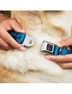 Collar de Perro Buckle-Down Grateful Dead 66cm Multicolor 2