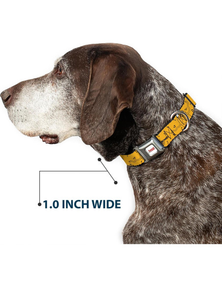 Collar para perro Cartoon Network Buckle-Down 15-24" (38-61 cm) Collar para perro Cartoon Network Buckle-Down 15-24" (38-61 cm)