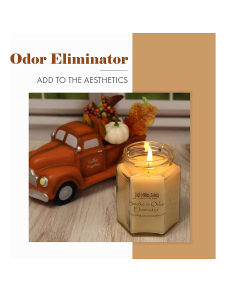 Vela Aromática Eliminadora de Olores Just Makes Scents 226g Vela Aromática Eliminadora de Olores Just Makes Scents 226g