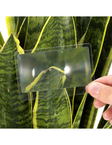 30 Lentes de Aumento Portátiles UUYYEO 8.5x5.5 cm