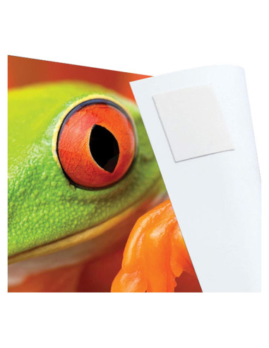 Pestañas de Montaje de Fotos Lineco Infinity Blancas 230 Unidades