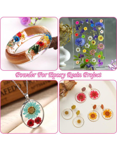 300 Flores Secas Naturales para Manualidades - Joyería DIY 2