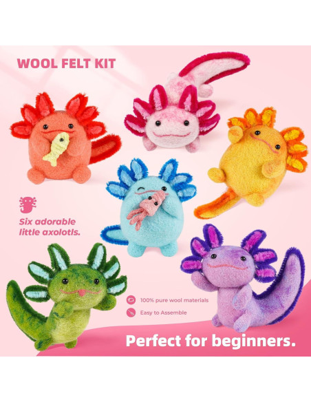 Kit de Fieltro con Agujas MOREJMTT 6 PCS para Principiantes