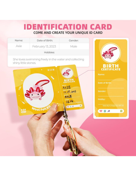 Kit de Fieltro con Agujas MOREJMTT 6 PCS para Principiantes