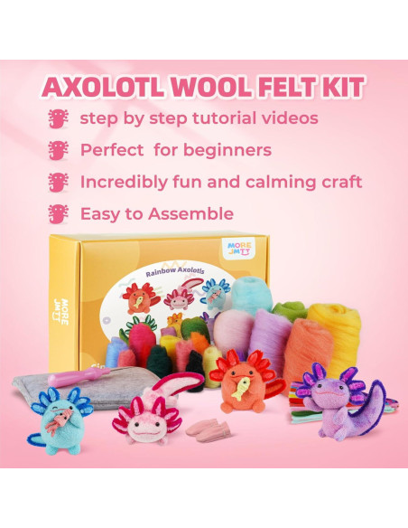 Kit de Fieltro con Agujas MOREJMTT 6 PCS para Principiantes