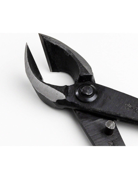 Kit de Herramientas para Bonsai Wazakura 4 Piezas Hecho en Japón