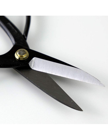 Juego de Tijeras de Poda Bonsái Wazakura - Hecho en Japón